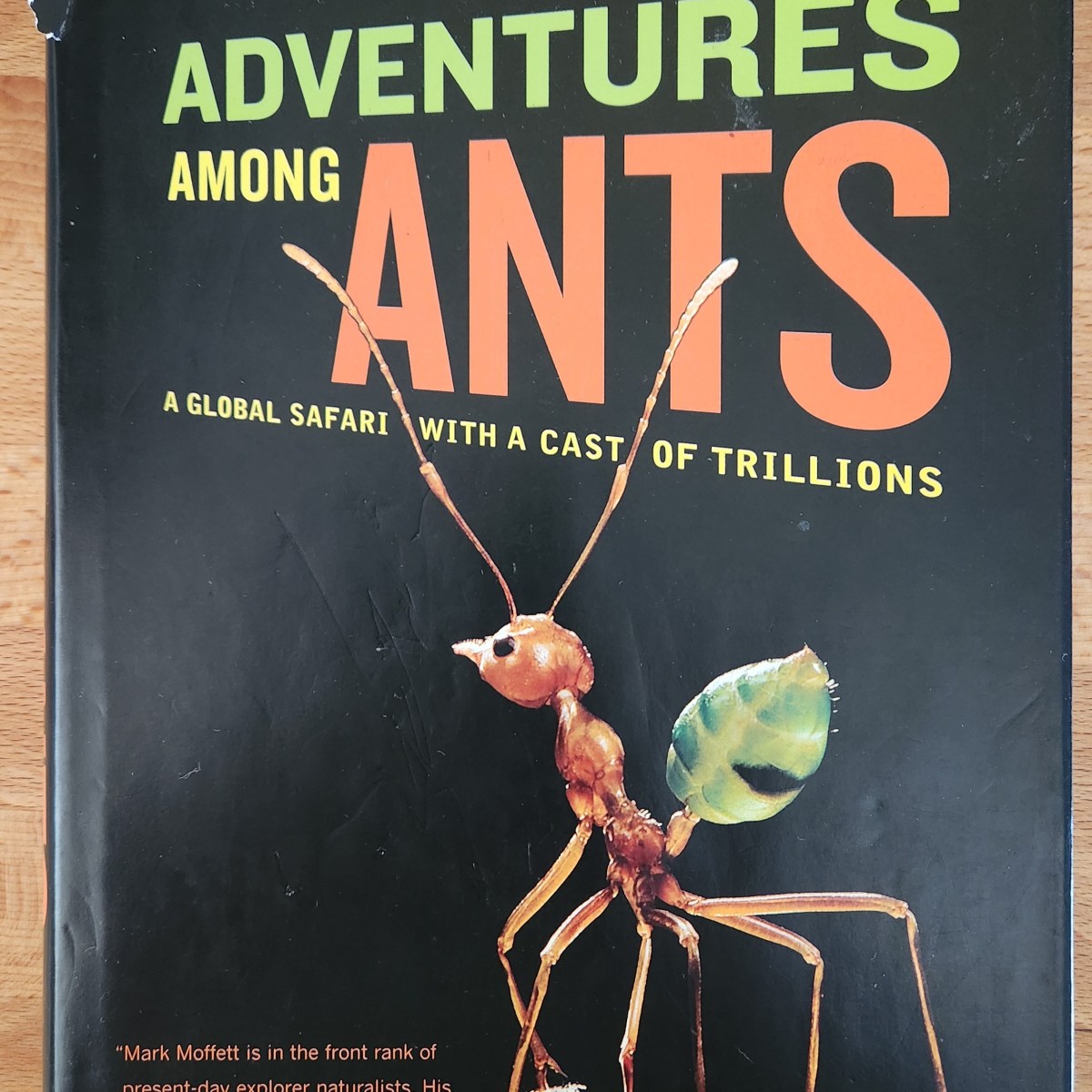 Books About Ants